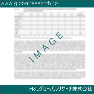 グローバルリサーチ調査資料のイメージ